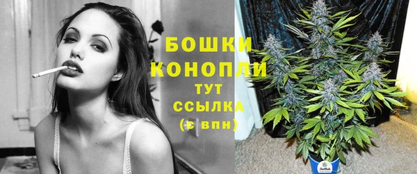 спиды Абаза