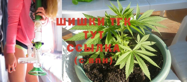 спиды Абаза