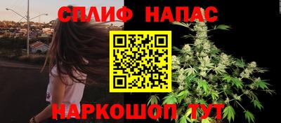 гидропоника Кингисепп