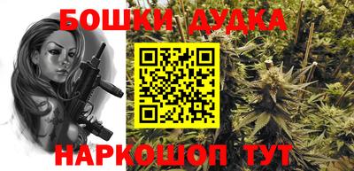 гидропоника Кингисепп