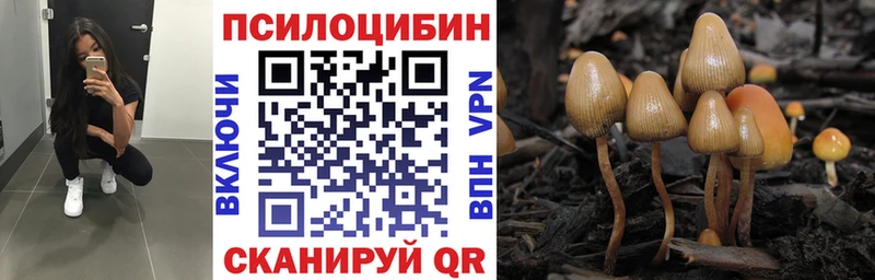Галлюциногенные грибы Psilocybe  Курчатов 