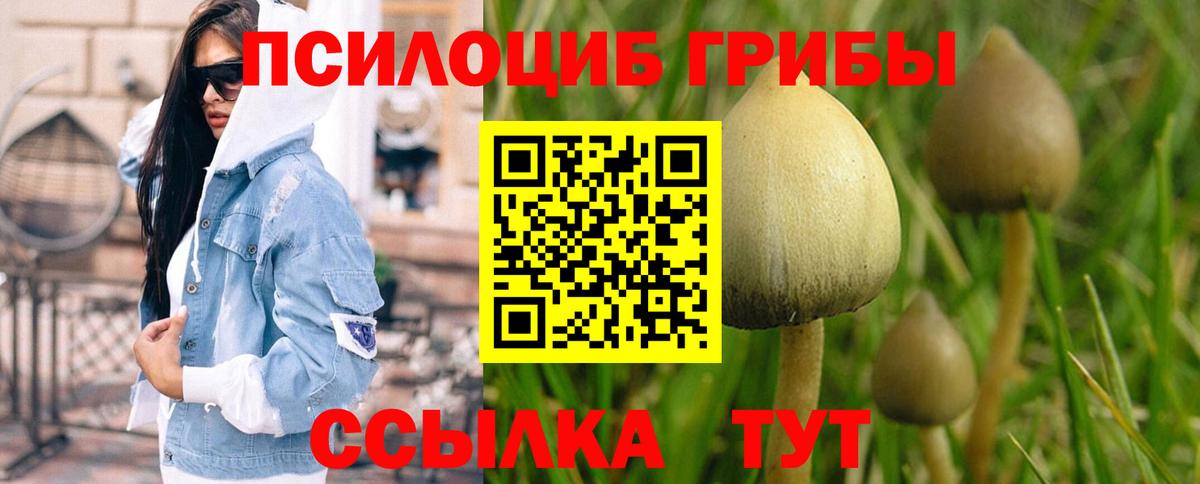 Cocaine  Меф  Конопля  Марихуана  Гашиш  Амфетамин   Мефедрон   Курчатов  Вход с VPN 